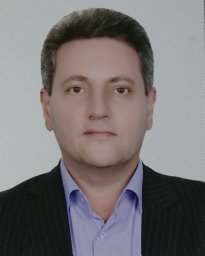 Ansari Pirsaraei Z