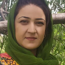 Haniyeh Fallah