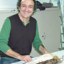 Antonio-Roman Munoz