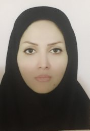 Sara Zarghami