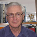 Avraham Shotan
