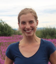 Amanda M Koltz