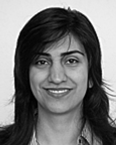 Babakhani, B.