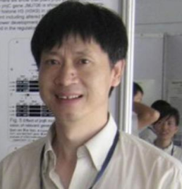 Daoxiu Zhou