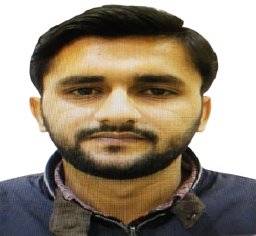 Muhammad Umair Gulzar