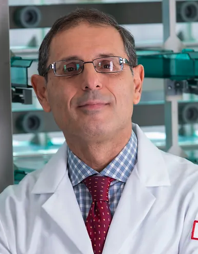 Domenico Pratico