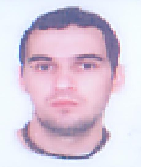 Leonardo R Silveira