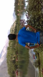 Muhammad Amjad Ali