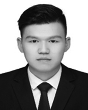 Lingzhi Zhu