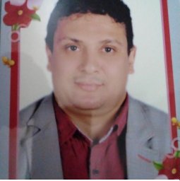 Mohamed Y. Abou-Zeid