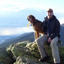David G Schroeder