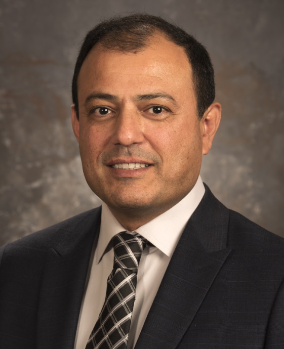 Vamegh Rasouli