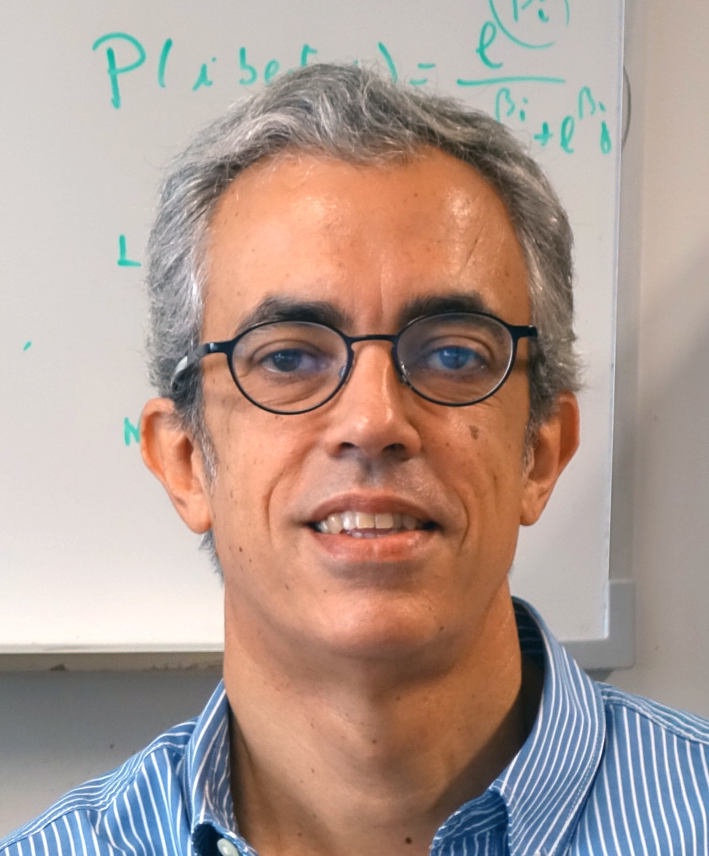 Mário A. T. Figueiredo