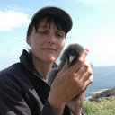 Sarah Burthe