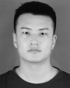 Qijie Song