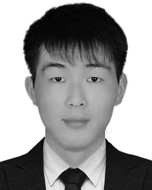 Shiqi Jiang