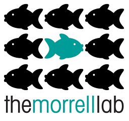 Lesley J. Morrell