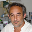 Bruno Constantin
