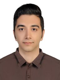Seyed Mehrdad Hosseini