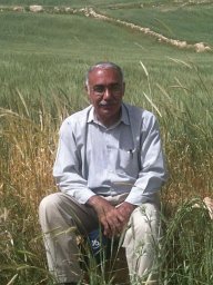 Masood Amir-Maafi
