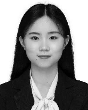 Zhengyan Li