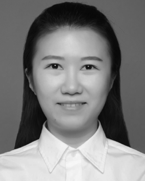 Yishu Wang