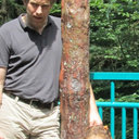 Edwin van der Weide