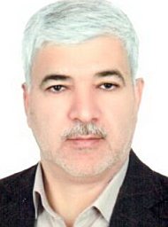 S. A. Fazelzadeh