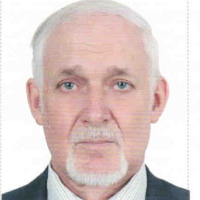 Vladislav A. Sadykov