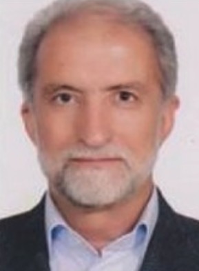 Mojtaba Shamsipur