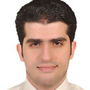 Ahmed A. Elkafrawy