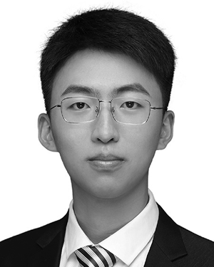 Yaolei Li