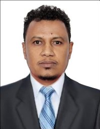 Amjad E. Hamza