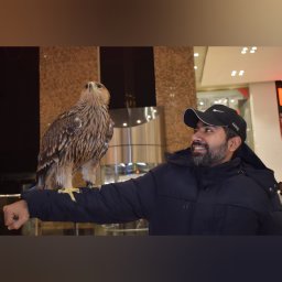 Mohsin Ali