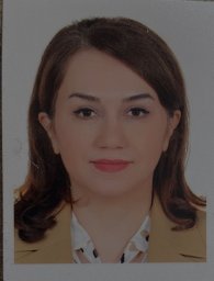Marjan Asadollahi