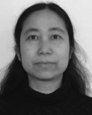 Ping Luo