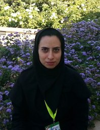 Kashani Homa