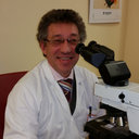 Giorgio Bovo