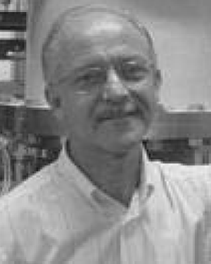 Vladimir J. Trava-Airoldi