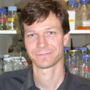 Denis Dacheux