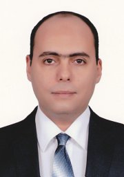 Tamer Abdelmaguid