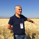 Irfan Gultekin