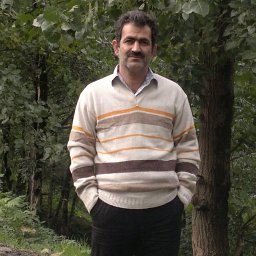 Davood Habibi
