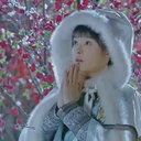 Shanshan Gao
