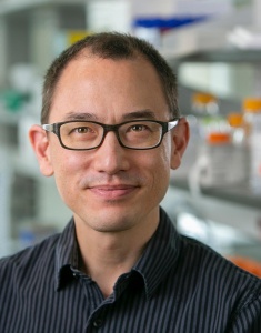Edward A. Miao